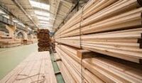 Timber-Global Business Brokers SA.jpg